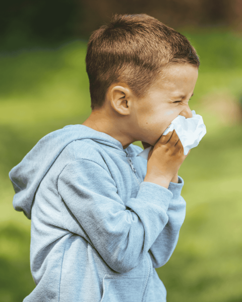 Najcesce alergije kod djece