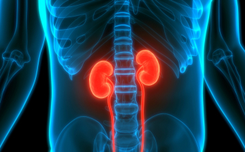 Pjenasti urin, oticanje nogu i umor: kada sumnjati na problem s bubrezima