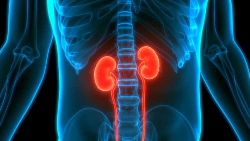 Pjenasti urin oticanje nogu i umor