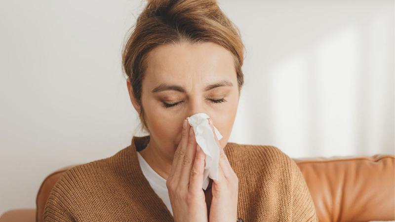 Sezonska alergija nos