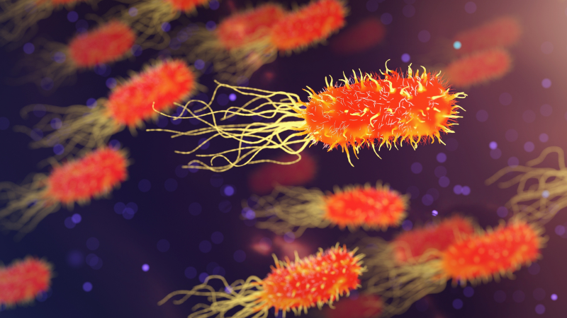 Helicobacter pylori simptomi